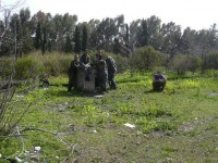 /album/galleria-fotografica/a58412-487126151350002-949824613-n-jpg/