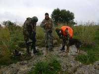 /album/galleria-fotografica/a26645-649665638429385-399197590-n-jpg/