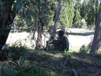 /album/galleria-fotografica/a1463753-617142401681709-1865548920-n-jpg/