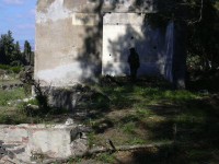 /album/galleria-fotografica/a1471860-617141915015091-399292491-n-jpg/